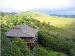 Kauai Travel + Real Estate